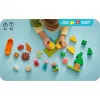 LEGO DUPLO 10452 Telkimisretk