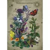 Pusle Ravensburger Circle of Life Butterfly 1000 tk