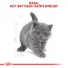 Kuiv kassitoit Royal Canin British Shorthair Kitten 2 kg – kana, 38% valku, 20% rasva, kasvuvalem