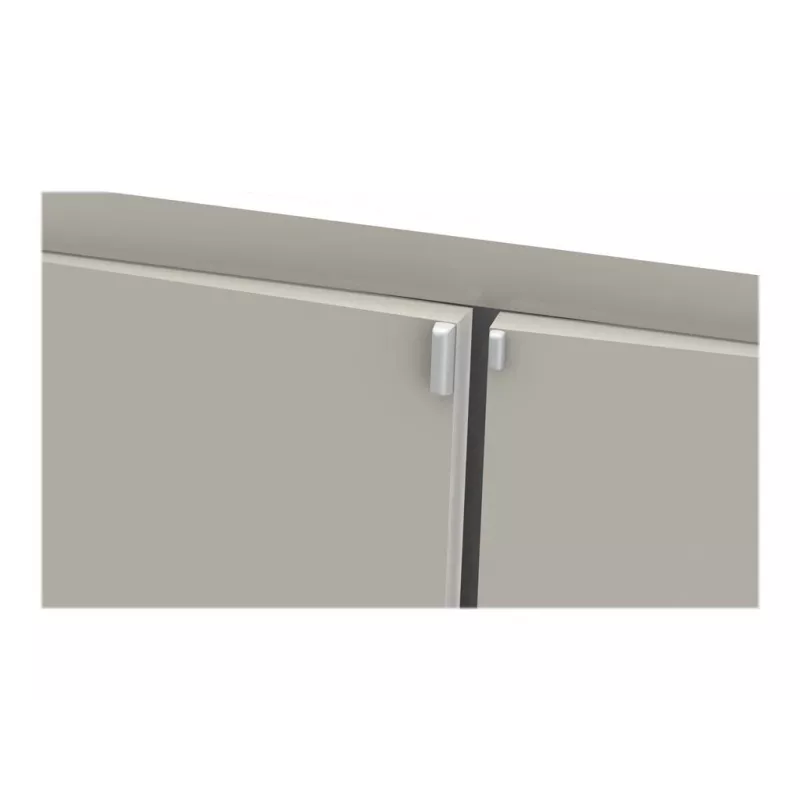 ELSYS EMS LoRa temperatuuri, niiskuse, lekke tuvastamise ja kiirenduse andur (ilma magnetita)