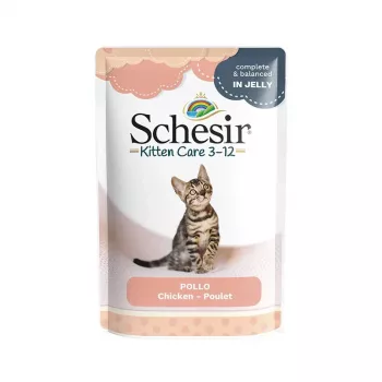 SCHESIR Kanafileed tarretises - märgtoit kassipoegadele - 85g