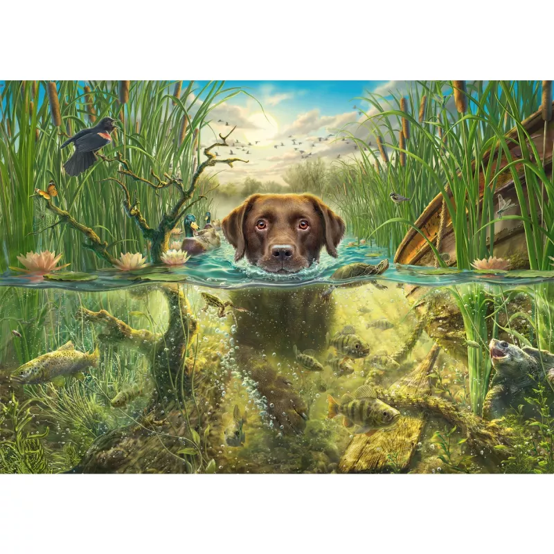 Mark Fredrickson: dog love - brown Labrador in cool water, Puzzle 1000 tükki