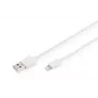 DIGITUS - Lightning-kaabel - Lightning (M) USB (M) - 1,0 m - topeltisolatsioon - valge - vormitud - Apple iPad/iPhone/iPod (Lightning) jaoks (DB-600106-010-W)