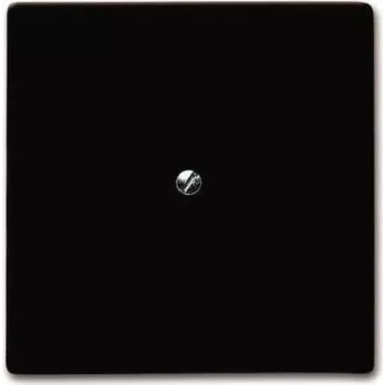 Busch-Jaeger 2138-31 - pruun - matt - Busch-Jaeger - IP44 - 71 mm - 71 mm (2CKA001710A3799)