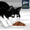 FELIX Tasty Shreds veise- ja kanalihaga - 4x 80g