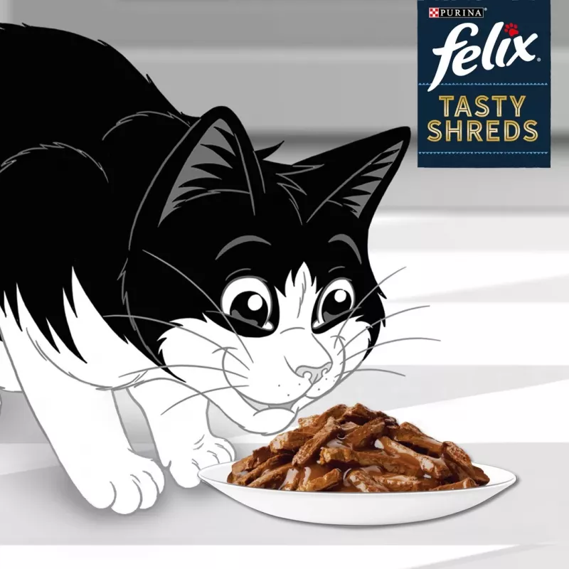 FELIX Tasty Shreds veise- ja kanalihaga - 4x 80g