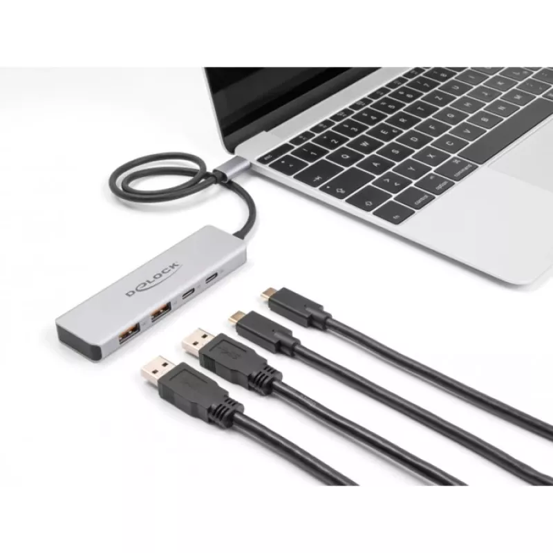 DeLOCK USB-jaotur USB USB-C 10 Gbps 2x Type-A 2x USB-C 35 cm kaabel
