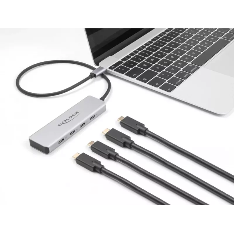 DeLOCK USB USB-C jaotur 10 Gbps 4 porti, alumiiniumist, hall