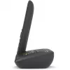 Analoog/DECT-telefon Gigaset C575A