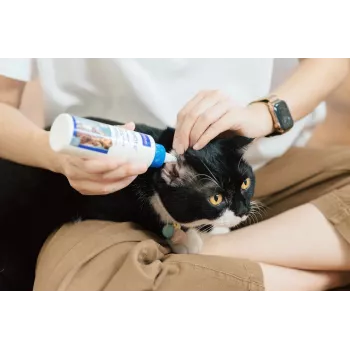 Kõrvahoolduslahus VIRBAC EPI-OTIC 125 ml – veterinaarne kõrvapuhastusvahend koertele ja kassidele