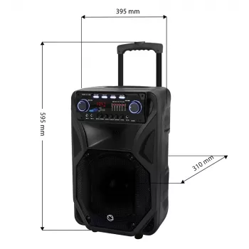 Kaasaskantav karaokekõlar MANTA SPK5021PRO 20W, 12-tolline bassikõlar, 80W RMS, Bluetooth, aku kuni 5h, SD/USB, mikrofoni- ja kitarrisisendid