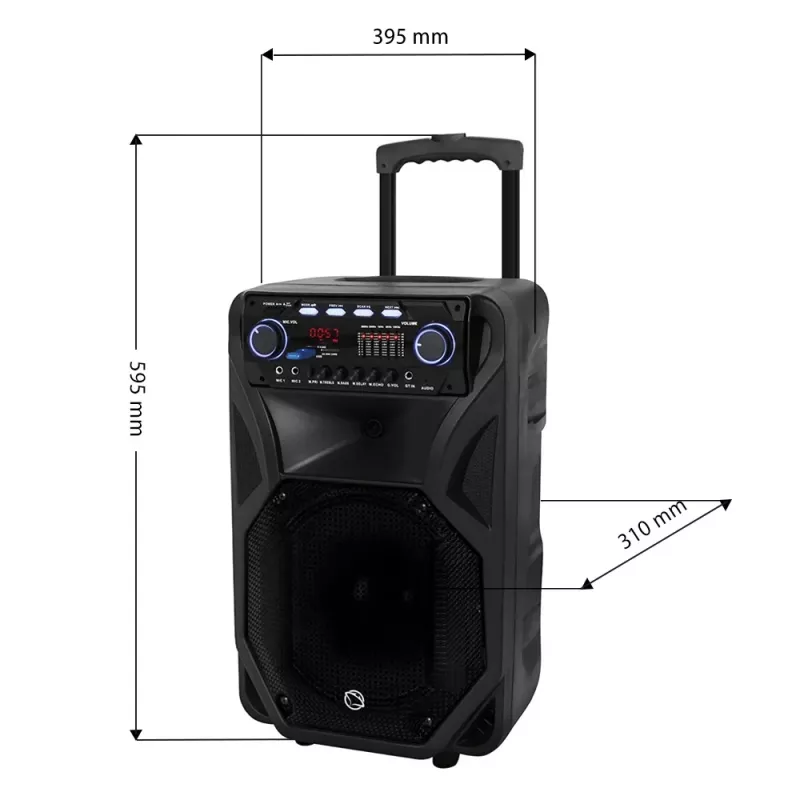 Kaasaskantav karaokekõlar MANTA SPK5021PRO 20W, 12-tolline bassikõlar, 80W RMS, Bluetooth, aku kuni 5h, SD/USB, mikrofoni- ja kitarrisisendid