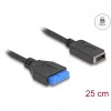 DeLOCK USB-kaabel pin-päisest sisemisele USB Type-E võtmele A 25 cm