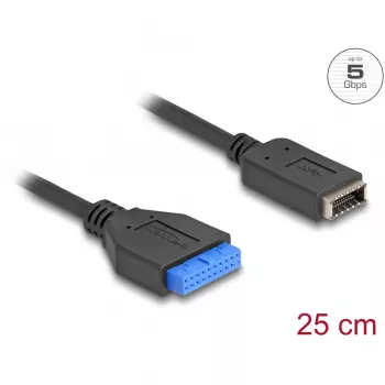 DeLOCK USB-kaabel pin-päisest sisemisele USB Type-E võtmele A 25 cm