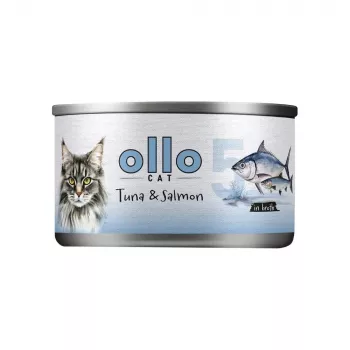Ollo Tuunikala lõhega puljongis Nr 5 70g