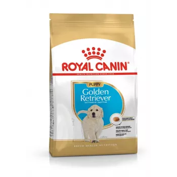 Kuiv koeratoit Royal Canin Golden Retriever Junior 12 kg — linnuliha, 29% valku, 16% rasva