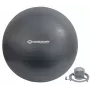 Schildkröt Fitness 960158 harjutuskuul 85 cm Hall täissuuruses