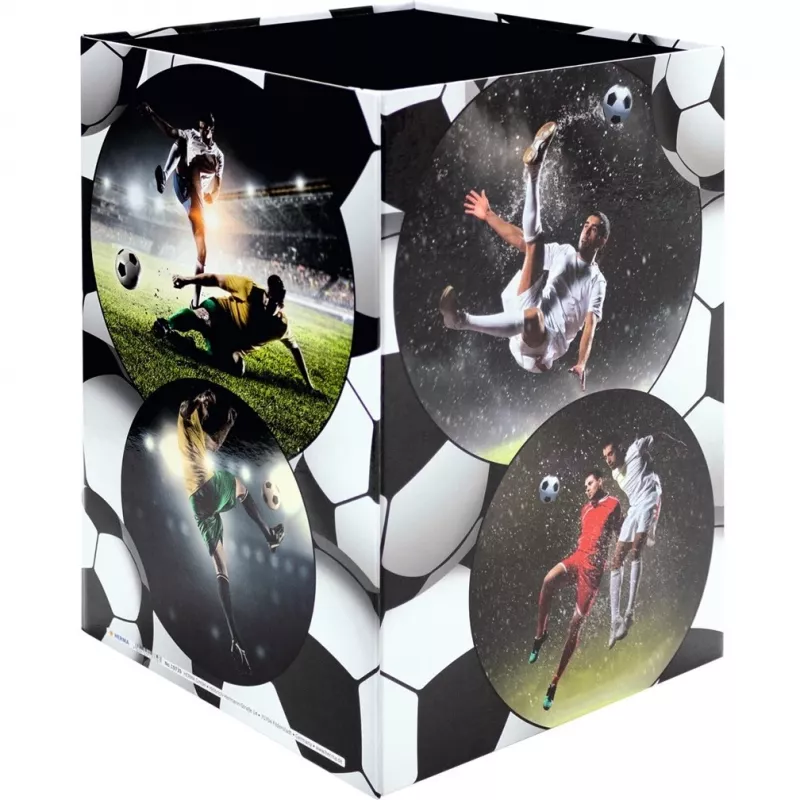 Prügikorv HERMA Football 19739