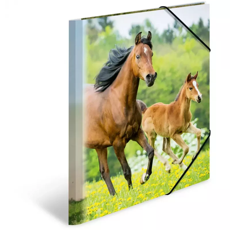 Folder HERMA 7140 Polypropylene (PP) Multicolour A4
