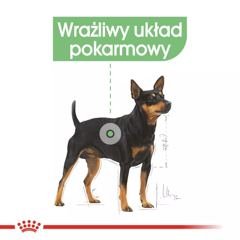 Märg koeratoit Royal Canin Digestive Care Meat & Vegetable kotikesed 12 x 85 g — täiskasvanud koerad, seedimise tugi