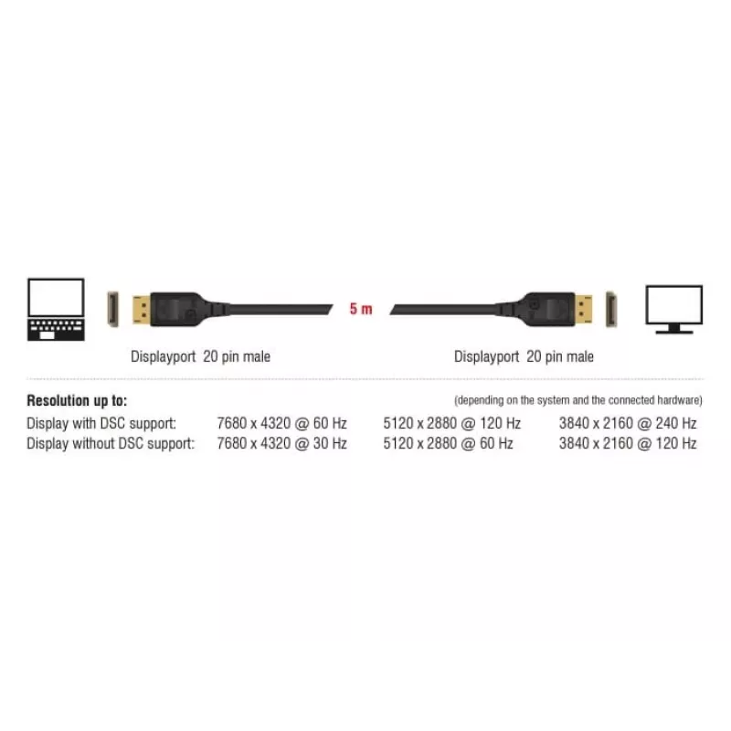 DisplayPort kaabel DeLOCK 85661 3 m must