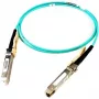 InfiniBand/kiudoptiline kaabel Cisco SFP-25G-AOC10M= 10 m SFP28 Isane/Isane