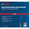 Bosch Expert 2 608 900 349 puuritera labapuur 1 tk