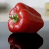Seemnepakk Seklos LT Paprika Jolanta 0,5 g – magusa paprika seemned kasvatamiseks