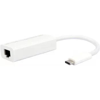 USB 3.1 Gigabit Etherneti muundur ROLINE 12.02.1109