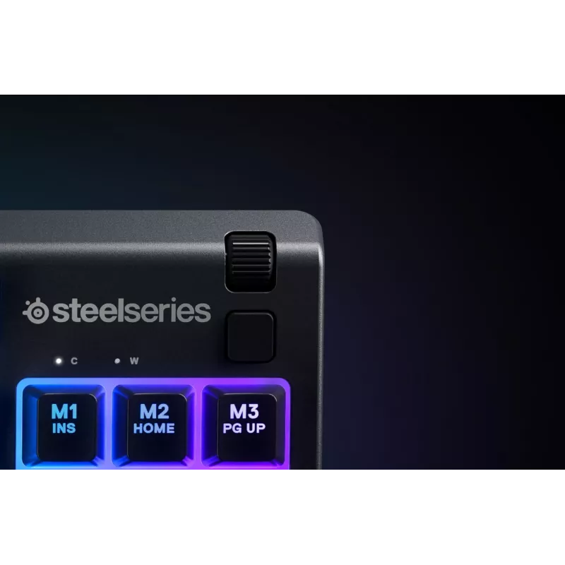 Steelseries APEX 3 TKL klaviatuur USB QWERTY US English must