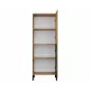 KAMARO 2DK õhuke/GŁ tamm ARTISAN DISPLAY CABINET
