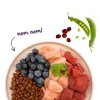 BOSCH Sanabelle Adult Ostrich & Blueberries - kuiv kassitoit - 2 kg
