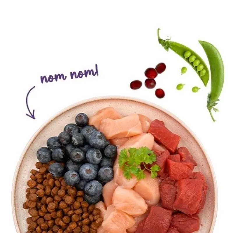 BOSCH Sanabelle Adult Ostrich & Blueberries - kuiv kassitoit - 2 kg