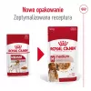 ROYAL CANIN SHN Medium Adult kastmes - märgtoit täiskasvanud koertele - 10x140g