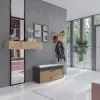 Suletud kingakapp Top e Shop PARMA — antratsiit ja tamm, puitlaastplaat, 1000×490×350 mm
