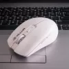 Tellur Silent Click Wireless hiir Valge