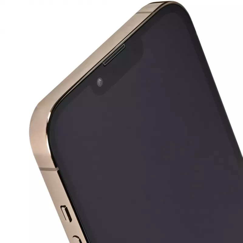 Apple iPhone 13 Pro Max 128 GB kuldne (REMADE by 2Bnew) 2Y Remade / renoveeritud