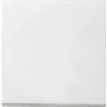 Gira 029627 võrguseade