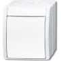 BUSCH-JAEGER Vahelüliti 2601/7W-54 ookean Alpi valge IP44 Klapplüliti 2601/7W-54 (2601/7W-54)