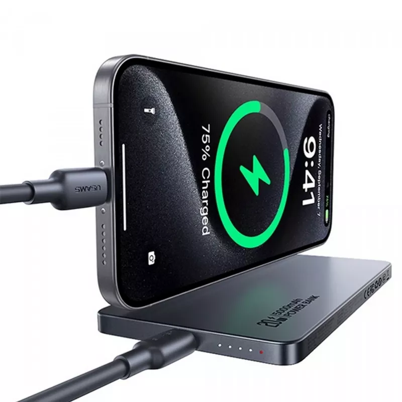 PowerBank 5000mAh 20W Induction MagSafe titaan