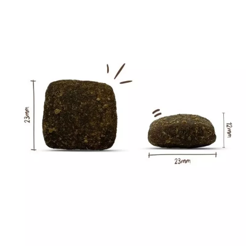 BOSCH Soft Maxi veeühvel ja bataat - kuiv koeratoit - 2,5 kg