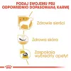 Royal Canin BHN West Highland Valge Terrier Adult - kuivtoit täiskasvanud koertele - 3kg
