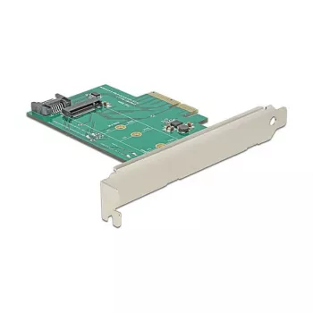 Liidesekaart DeLOCK 89381 sisemine M.2 SATA