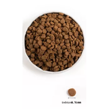 ORIJEN Originaal Dog - kuiv koeratoit - 11,4kg