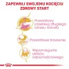 ROYAL CANIN Maine Coon Kitten- kuiv kassitoit - 4 kg