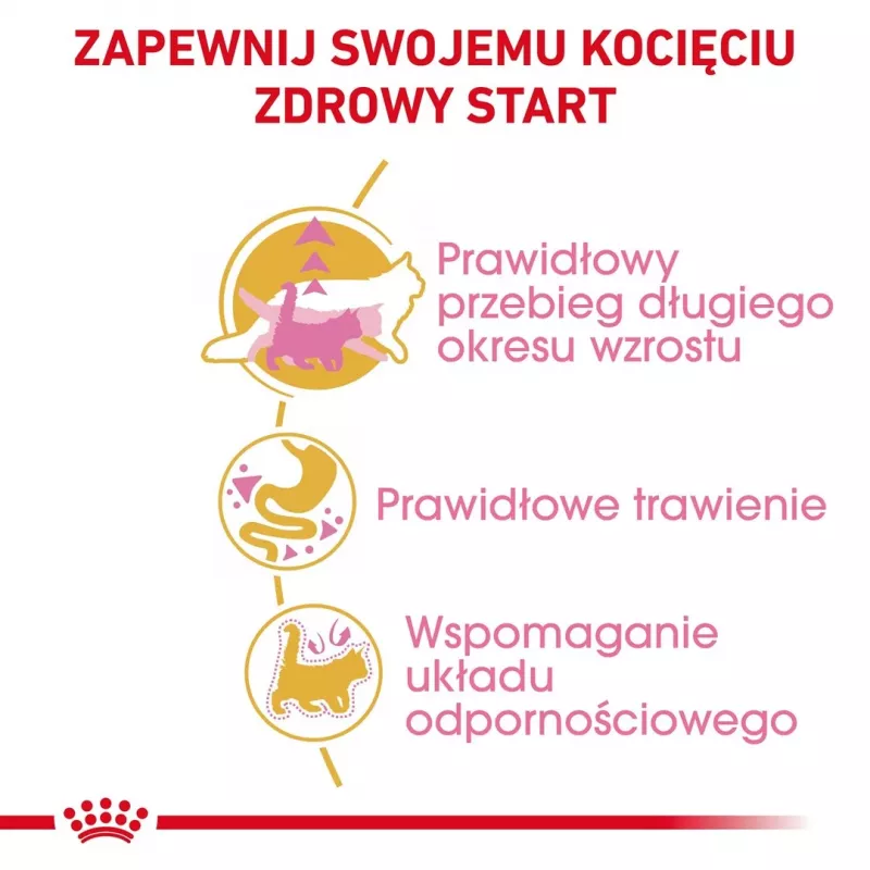 ROYAL CANIN Maine Coon Kitten- kuiv kassitoit - 4 kg