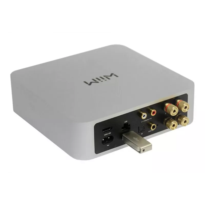 WiiM Amp Dark hall - Stereo Streaming Amplifier
