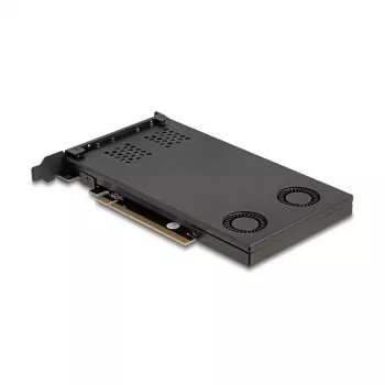 Delock PCI Express x16 kaardiraam kahele M.2 NVMe SSD-le, bifurkatsiooniga 47042