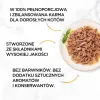 PURINA Gourmet Gold Succulent Delights Chicken - märg kassitoit - 85g