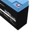 Laetav LiFePO4 aku QOLTEC 12.8V 30Ah 384Wh koos BMS-iga